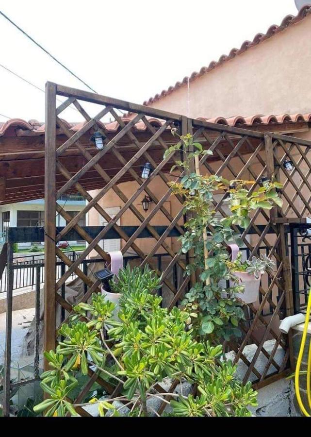 شقة Sady'S House Yimnon المظهر الخارجي الصورة